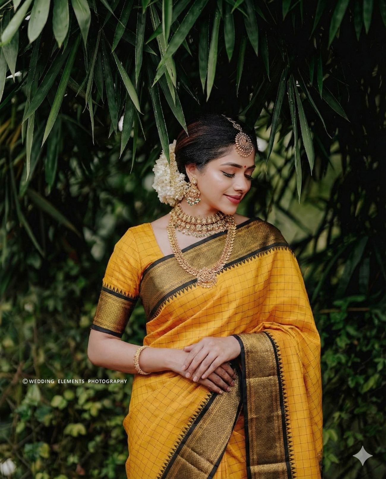 Checked Pithani Silks